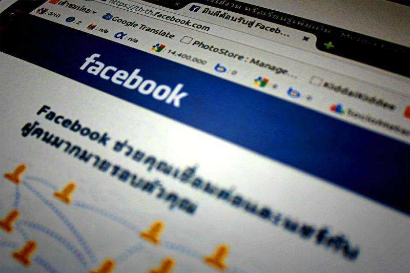 Effektiv pelspleie for en aktiv langhåret katt